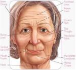 Wrinkled Face Map