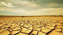 Drought